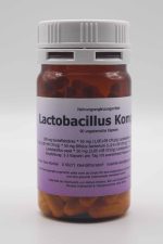 Lactobacillus Komplex